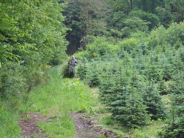 2005_aufbau_18.jpg