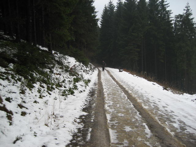 wanderung_stadtvereine_2007_13.jpg